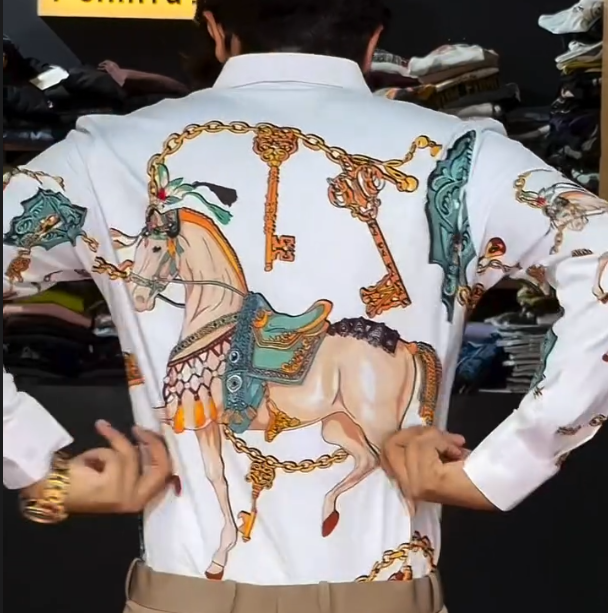 Light Luxury Printed Lightweight Long Sleeved Shirt