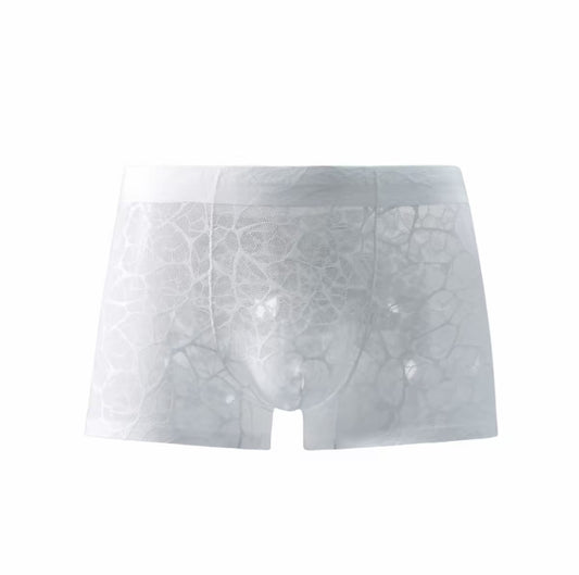Lace Sexy Leopard Print Jacquard Cool Underwear