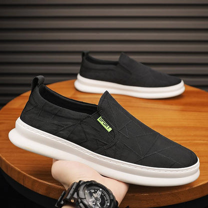 🔥Limited Time Offer 49% OFF🔥Men's new summer canvas breathable casual versatile shoes