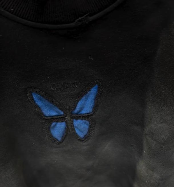 Men's Velvet Butterfly Embroidered Casual Hoodie